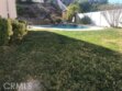  photo #4